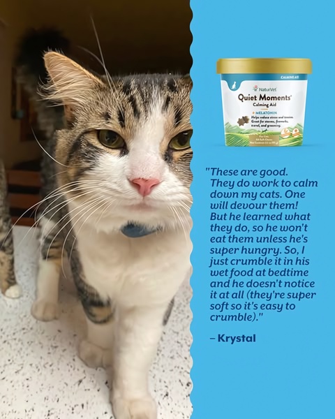 A split-screen 4:5 ad creative featuring a close-up photo of a cat on the left and a customer testimonial regarding the product's effectiveness on the right.